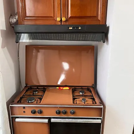 Michelle's Daire Polisi i Vogel