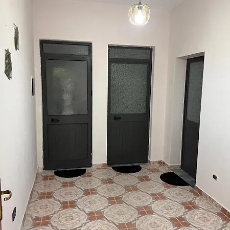 Michelle's Polisi i Vogel