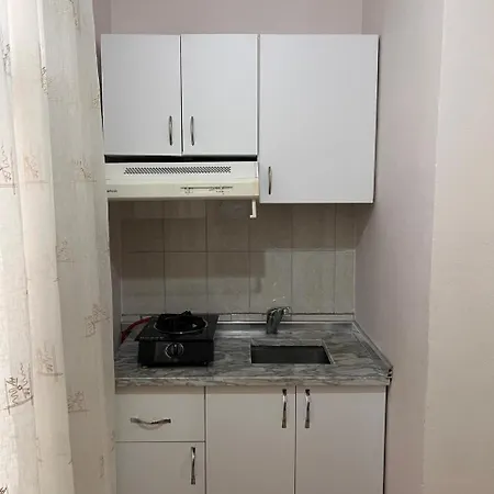 Michelle's * Polisi i Vogel