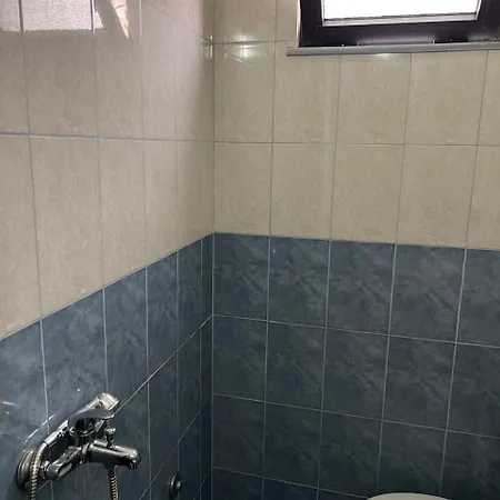 Michelle's Polisi i Vogel