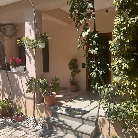 Daire Michelle's Polisi i Vogel