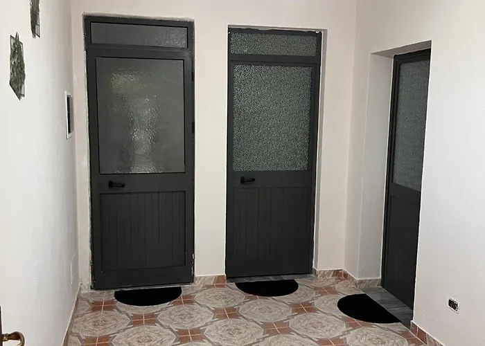 Michelle's Polisi i Vogel