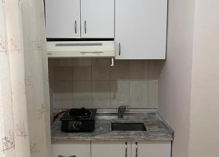 Michelle's * Polisi i Vogel