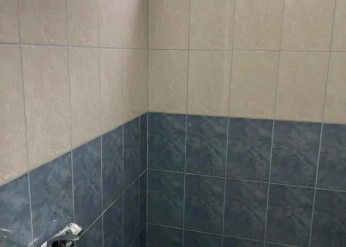 Michelle's Polisi i Vogel